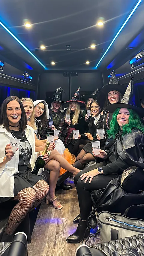 Friends in Halloween costumes inside a TIED party bus